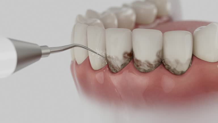Reliable Dental contractor in Lake Jackson, TX by Dentist Open Now